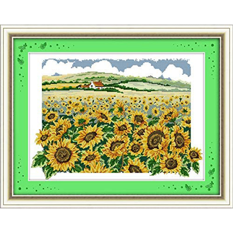 Maydear Cross Stitch Kits Stamped Full Range of Embroidery Starter Kits for Beginners DIY 11CT 3 Strands