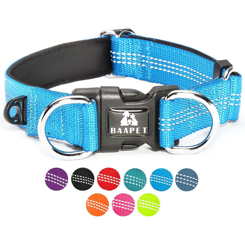 BAAPET Comfortable Dog Collar with Double Security Dual D-Ring and ID Tag Hanger