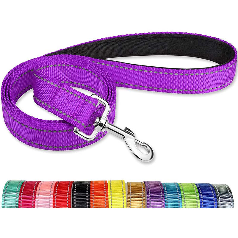 Joytale 5FT Dog Leash, Double-Sided, Soft Padded Handle Training, Walking Lead