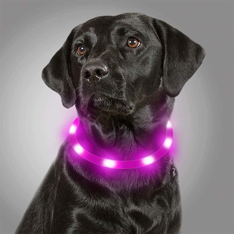 Joytale LED Dog Collar,USB Rechargeable Dog Collars for Night Safety