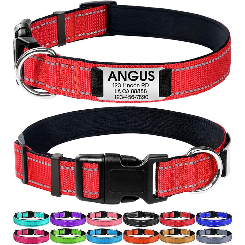 Joytale Personalized Dog Collar with Engraved Slide on ID Tags