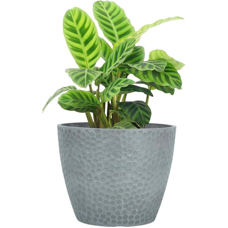 LA JOLIE MUSE Plant Pot for Indoor and Outdoor Plants, Modern Chic Planter with Honeycomb Pattern