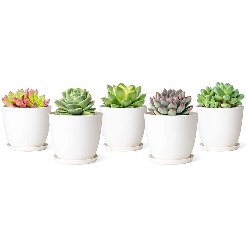 Mkono 4.5" Plastic Succulent Planters with Saucers, Flower Plant Pot with Drainage