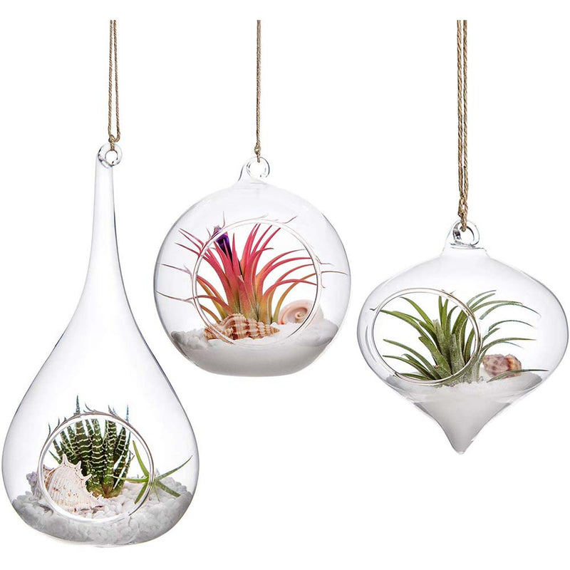 Mkono Glass Hanging Planter Air Fern Holder Terrarium Plants Hanger Vase Home Decoration