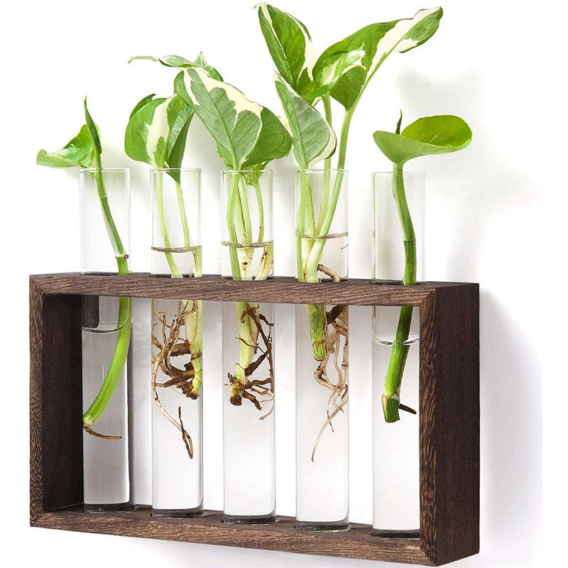 Mkono Wall Hanging Glass Planter Plant Terrarium Modern Flower Bud, Hydroponic Plants