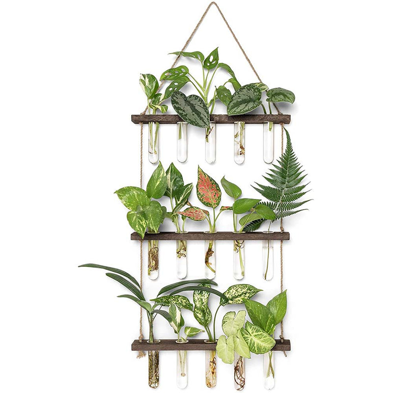 Mkono Wall Hanging Planter Terrarium with Wooden Stand, Hanging Glass Planter